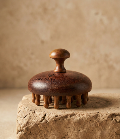 Brosse en Bois